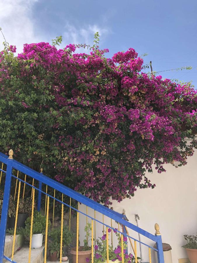 Nino Hotel Dhermi